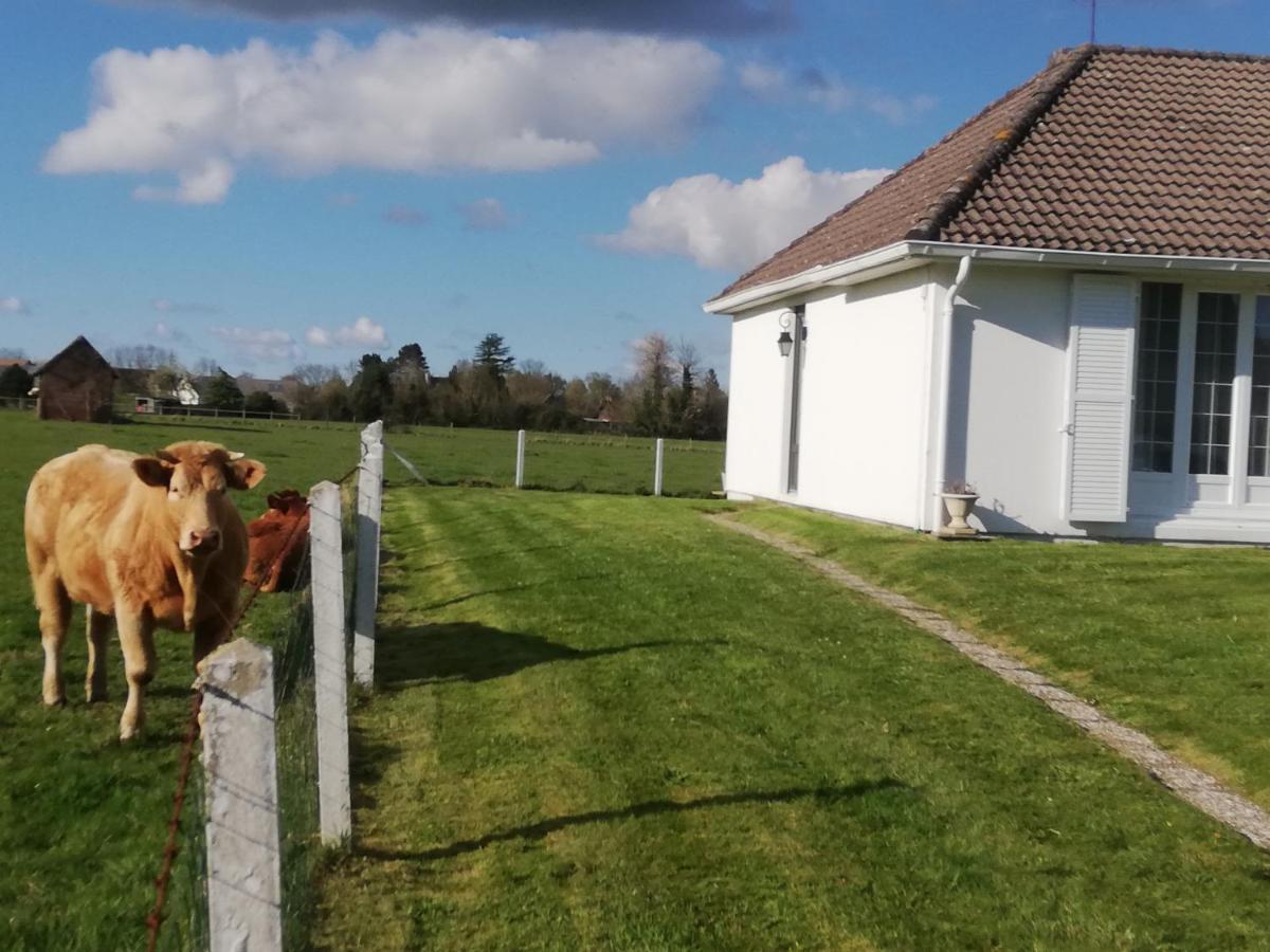 L'Opaline, Jolie Maison Avec Jardin 6 Pers,10Km Honfleur, Linge Et Internet Inclus เบิซวิลล์ ภายนอก รูปภาพ